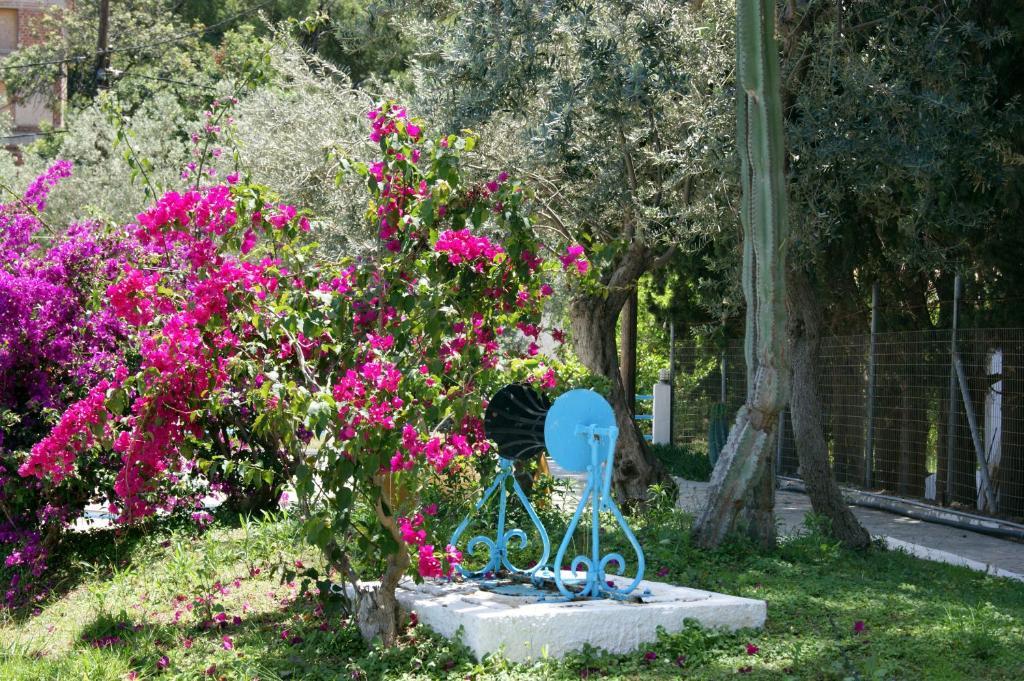 Cascade Holiday Resort Poros Town Exterior foto